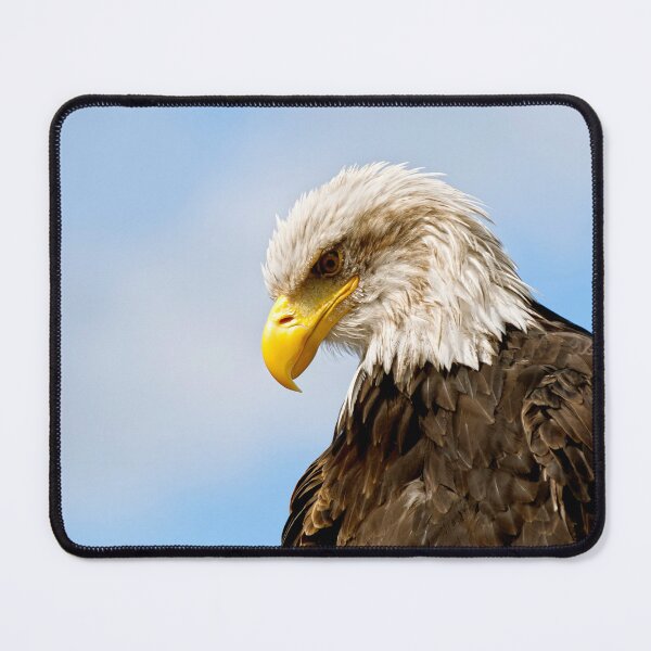 Item preview, Bald Eagle Wildlife Portrait Art designed and sold by Vac1.