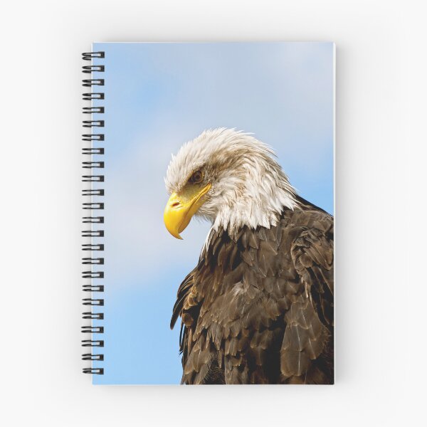 Item preview, Bald Eagle Wildlife Portrait Art designed and sold by Vac1.