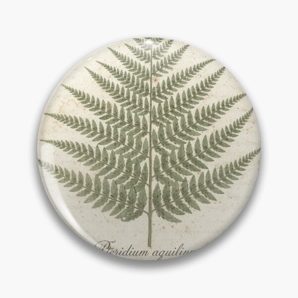 Item preview, Antique Pressed Fern Botanical Plate designed and sold by PictorialWhimsy.