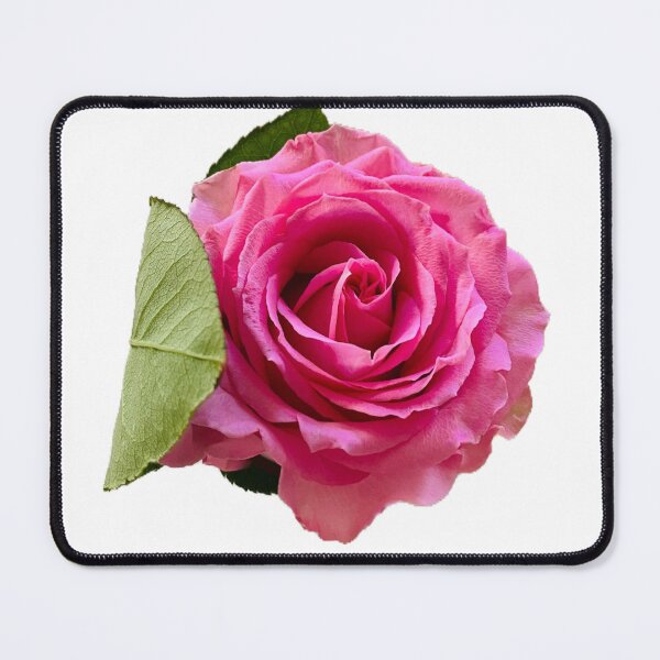 Item preview, Romantic Hot Pink Rose Blossom Cutout designed and sold by BalkanBloom.