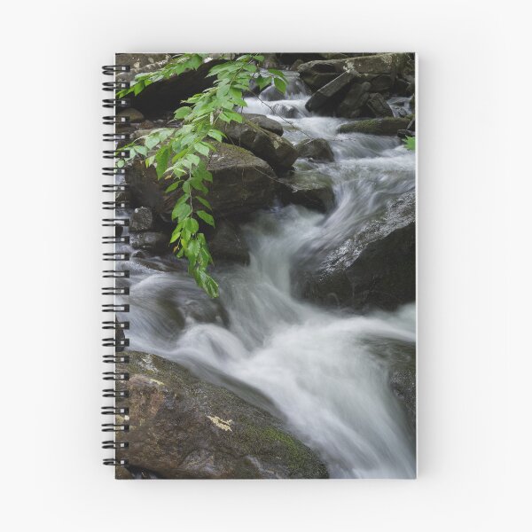 Item preview, Forest Stream Cascading Over Rocks designed and sold by Phil Perkins.