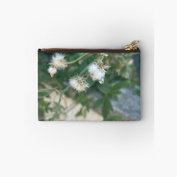 Item preview, Little, Small Fleabanes designed and sold by 55synonyms.