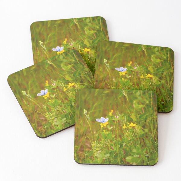 Item preview, Common Blue designed and sold by Murph's Images.