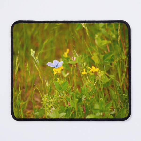 Item preview, Common Blue designed and sold by Murph's Images.