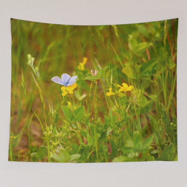 Item preview, Common Blue designed and sold by Murph's Images.