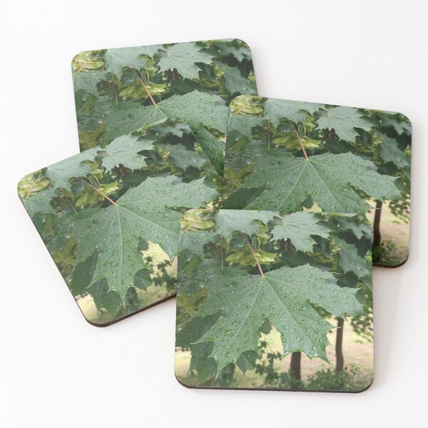 Item preview, Raindrops on maple leaves. designed and sold by MyHappyArtShop.
