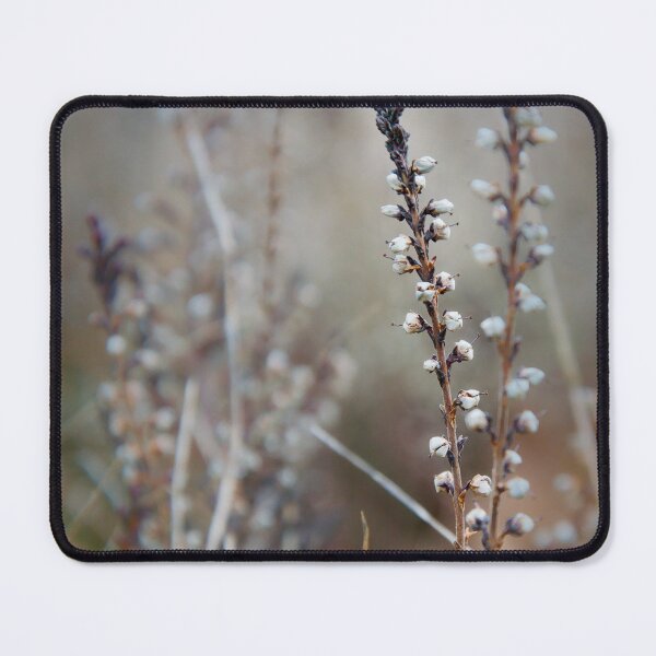 Item preview, Dried Winter Heather Sprigs designed and sold by ShotsbyDesiree.