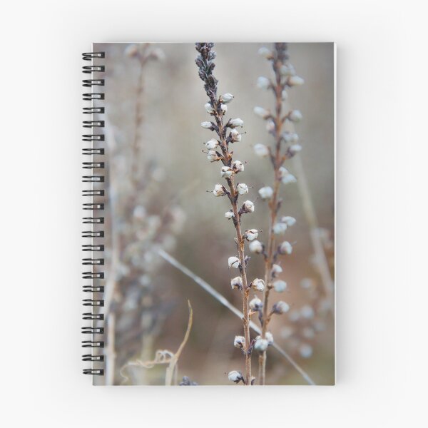 Item preview, Dried Winter Heather Sprigs designed and sold by ShotsbyDesiree.