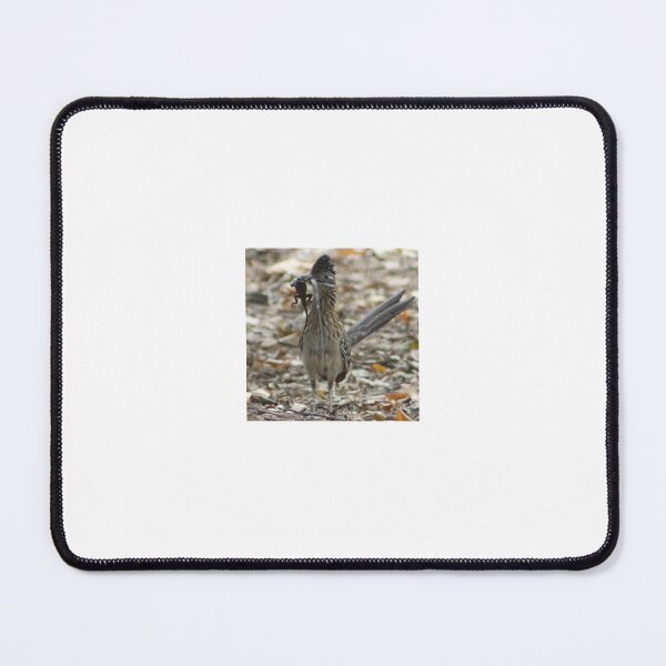 Item preview, Roadrunner with Lizard Lunch designed and sold by Tammy's Handmade Gifts.