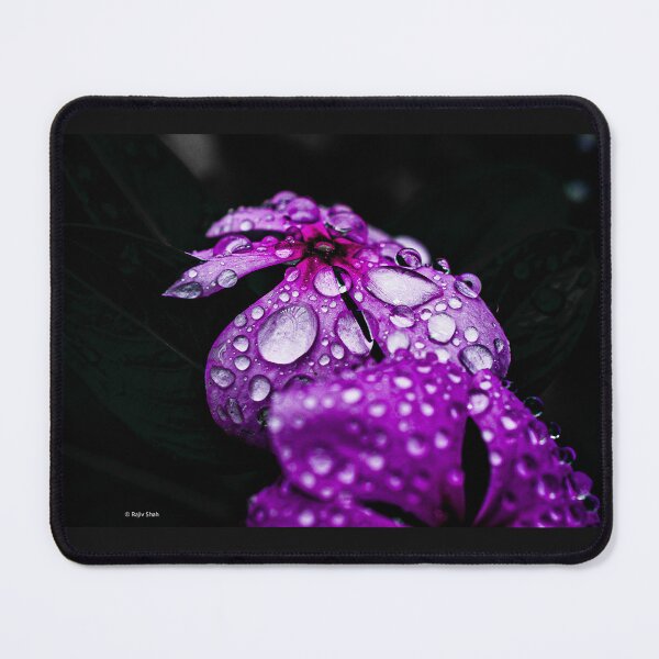 Item preview, Dew drops floral artwork designed and sold by Houseofstills.