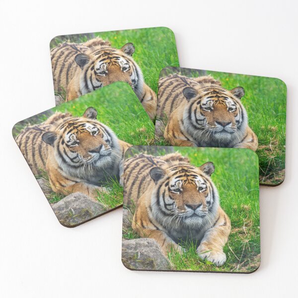 Item preview, Amur Tiger designed and sold by JeanKellyPhoto.