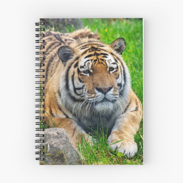 Item preview, Amur Tiger designed and sold by JeanKellyPhoto.