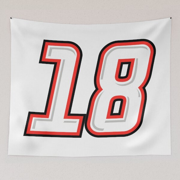 Item preview, Stock Car Racing #18 - Vector Motorsport Design designed and sold by Wolagno.