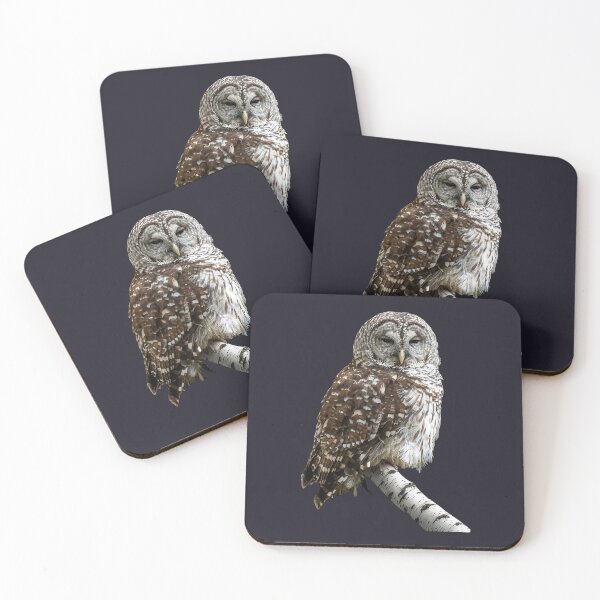 Item preview, Barred Owl designed and sold by Susan Savad.