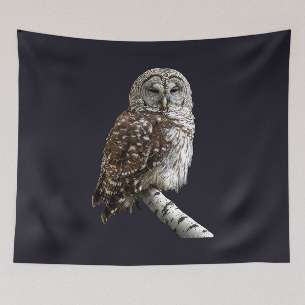 Item preview, Barred Owl designed and sold by Susan Savad.