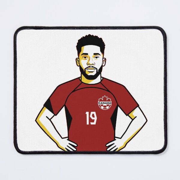 Item preview, Alphonso designed and sold by On Target Sports.