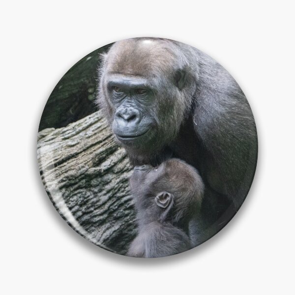 Item preview, Mboka Jo and Gladys at Cincinnati Zoo designed and sold by Zoo and Nature Photography by Karie.