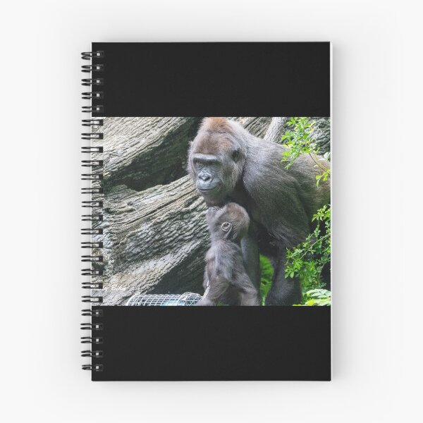 Item preview, Mboka Jo and Gladys at Cincinnati Zoo designed and sold by Zoo and Nature Photography by Karie.