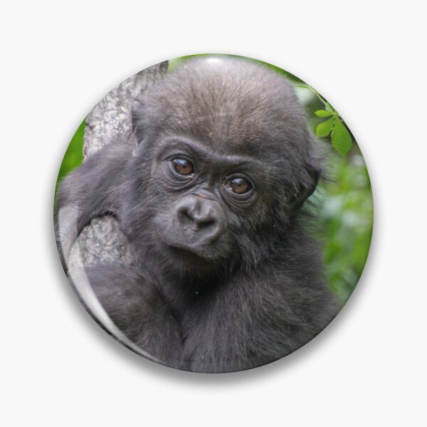 Item preview, Mboka Jo at Cincinnati Zoo designed and sold by Zoo and Nature Photography by Karie.