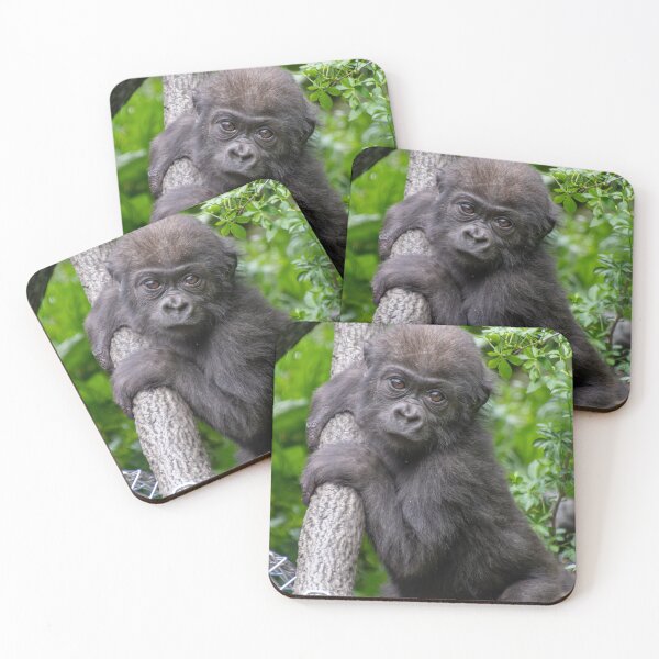 Item preview, Mboka Jo at Cincinnati Zoo designed and sold by Zoo and Nature Photography by Karie.