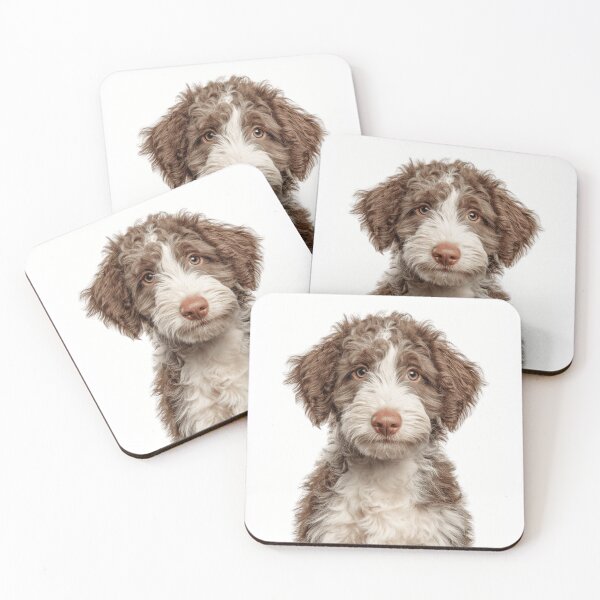Item preview, Adorable Spanish Water Dog puppy for Cute Perro Turco puppy lovers designed and sold by LazyOwlStore.