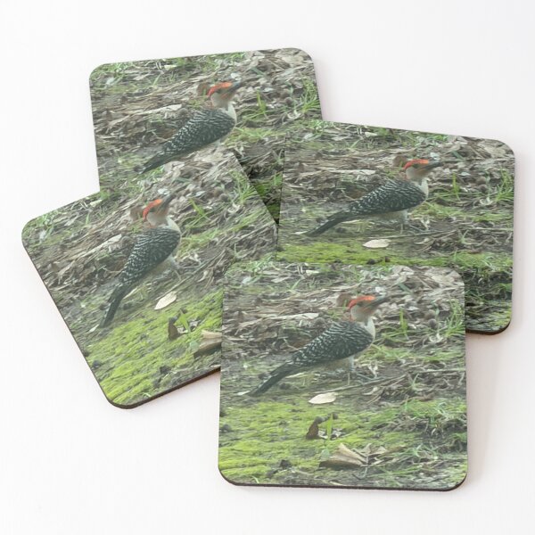Item preview,     Backyard Favorite: Red-Bellied Woodpecker designed and sold by Pearls1.