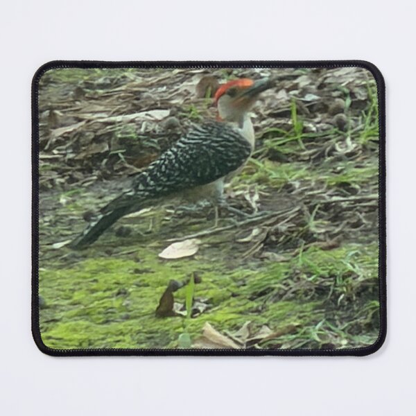 Item preview, Backyard Favorite: Red-Bellied Woodpecker designed and sold by Pearls1.