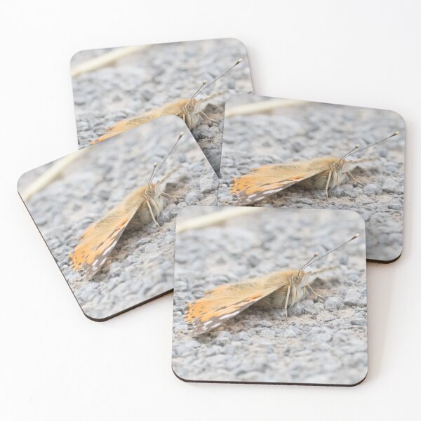 Item preview, Painted Lady designed and sold by LaurenTucker.