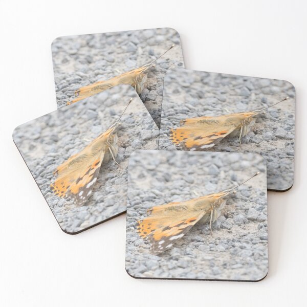 Item preview, Painted Lady designed and sold by LaurenTucker.