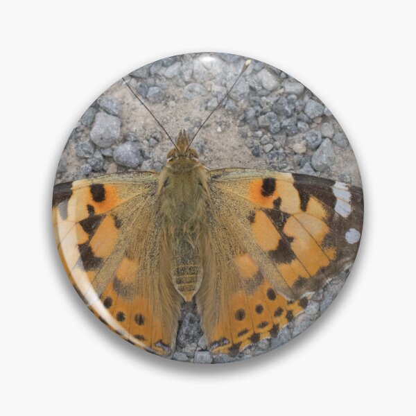 Item preview, Painted Lady designed and sold by LaurenTucker.