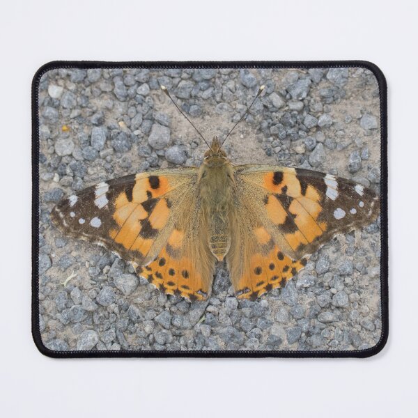 Item preview, Painted Lady designed and sold by LaurenTucker.