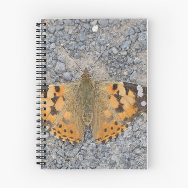 Item preview, Painted Lady designed and sold by LaurenTucker.