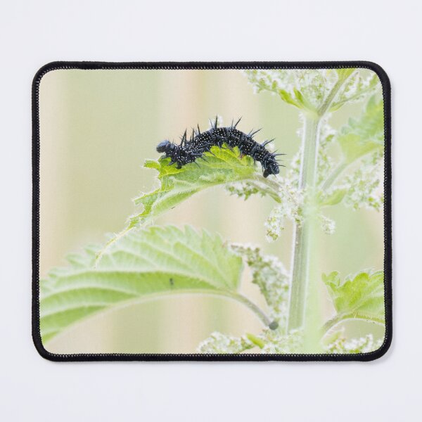 Item preview, Peacock Butterfly (Caterpillar) designed and sold by LaurenTucker.