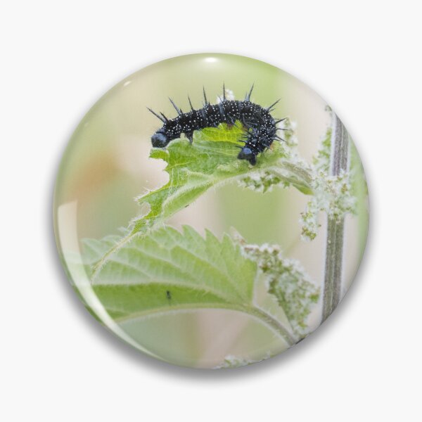 Item preview, Peacock Butterfly (Caterpillar) designed and sold by LaurenTucker.