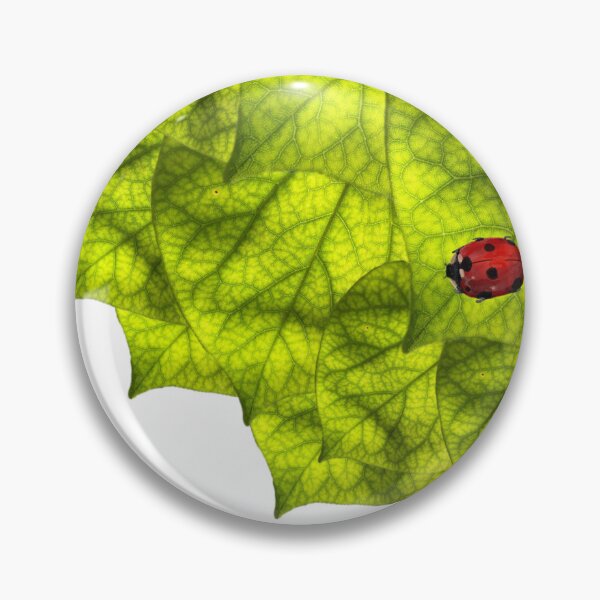 Item preview, lady bug leaf, digital doodle with photograph designed and sold by GiSilver.