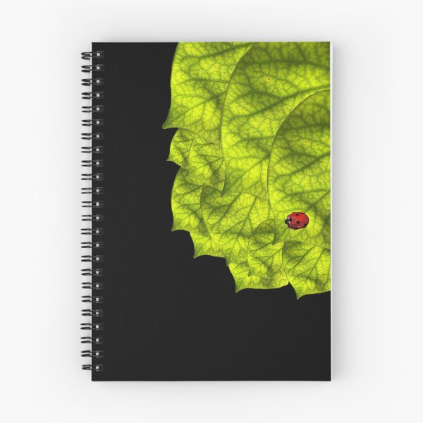 Item preview, lady bug leaf, digital doodle with photograph designed and sold by GiSilver.