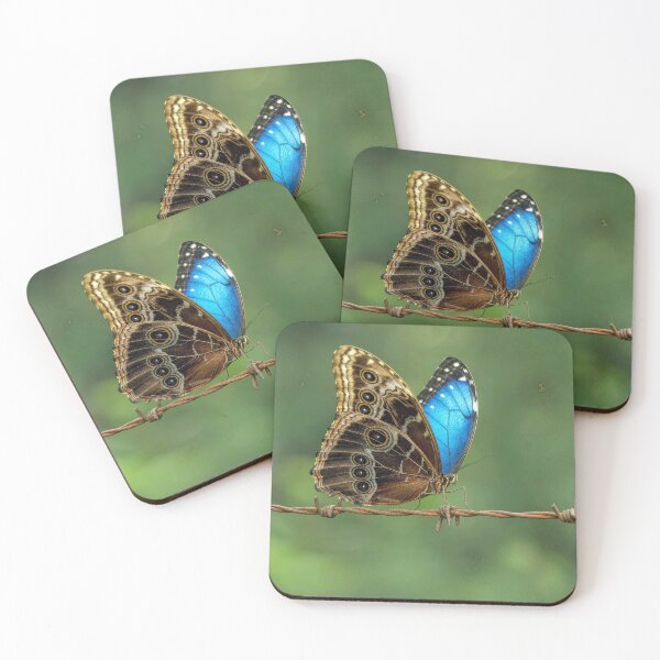 Item preview, Common Morpho Butterfly on Barb Wire designed and sold by Maria Dryfhout.