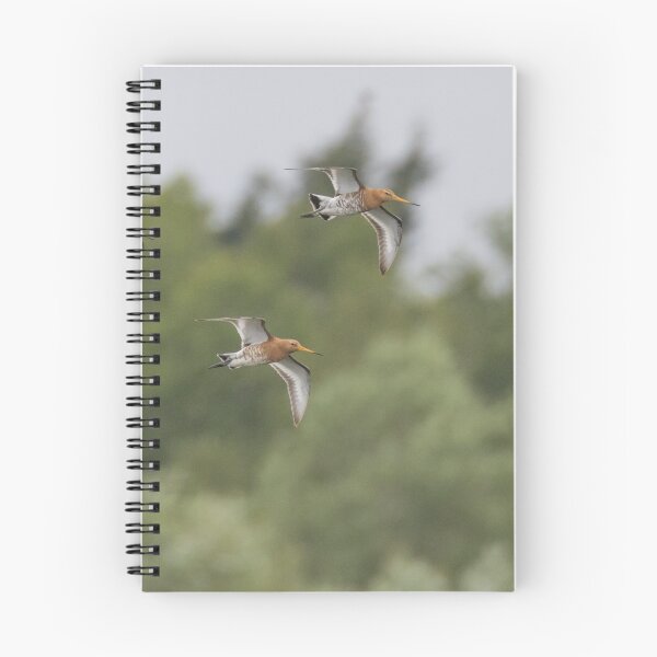 Item preview, Black Tailed Godwit designed and sold by LaurenTucker.