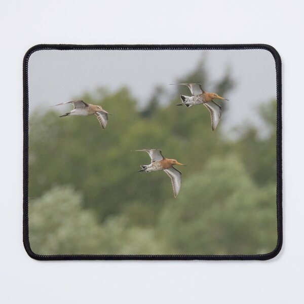 Item preview, Black Tailed Godwit designed and sold by LaurenTucker.