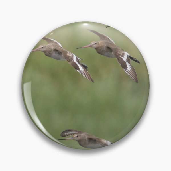 Item preview, Black Tailed Godwit - Limosa limosa designed and sold by LaurenTucker.