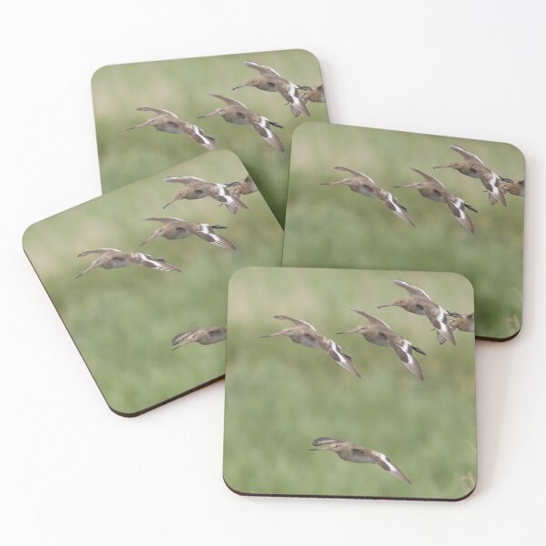 Item preview, Black Tailed Godwit - Limosa limosa designed and sold by LaurenTucker.