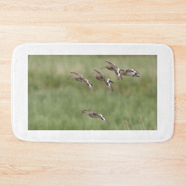 Item preview, Black Tailed Godwit - Limosa limosa designed and sold by LaurenTucker.