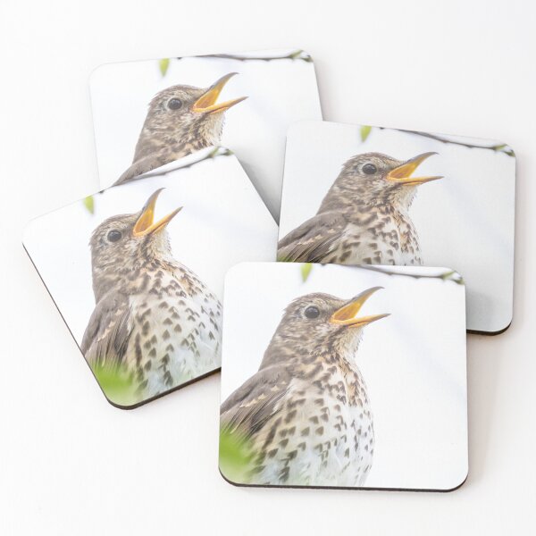Item preview, Song Thrush designed and sold by LaurenTucker.