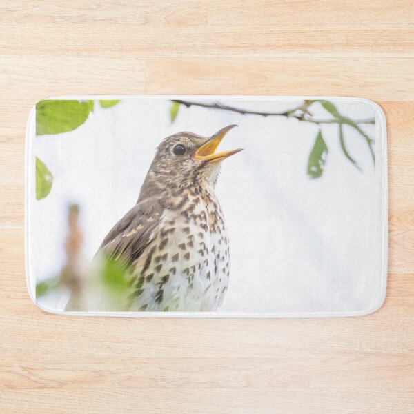 Item preview, Song Thrush designed and sold by LaurenTucker.