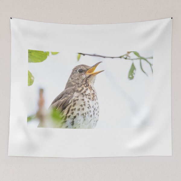 Item preview, Song Thrush designed and sold by LaurenTucker.