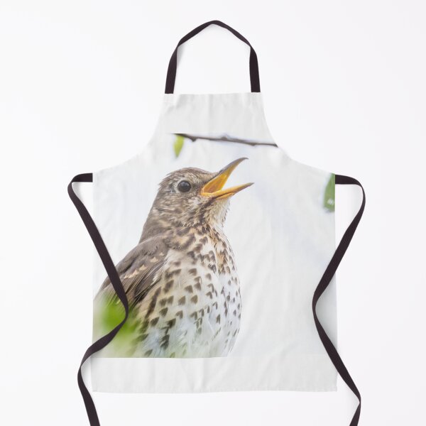 Item preview, Song Thrush designed and sold by LaurenTucker.