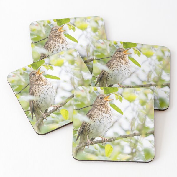 Item preview, Song Thrush designed and sold by LaurenTucker.