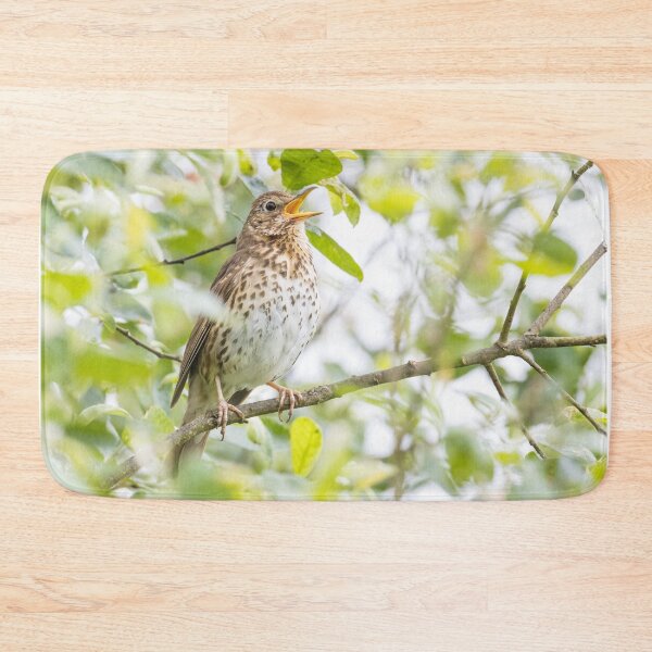 Item preview, Song Thrush designed and sold by LaurenTucker.