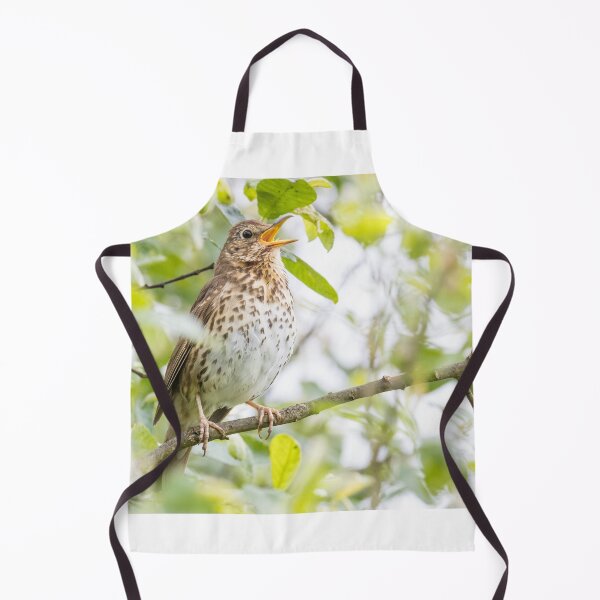 Item preview, Song Thrush designed and sold by LaurenTucker.