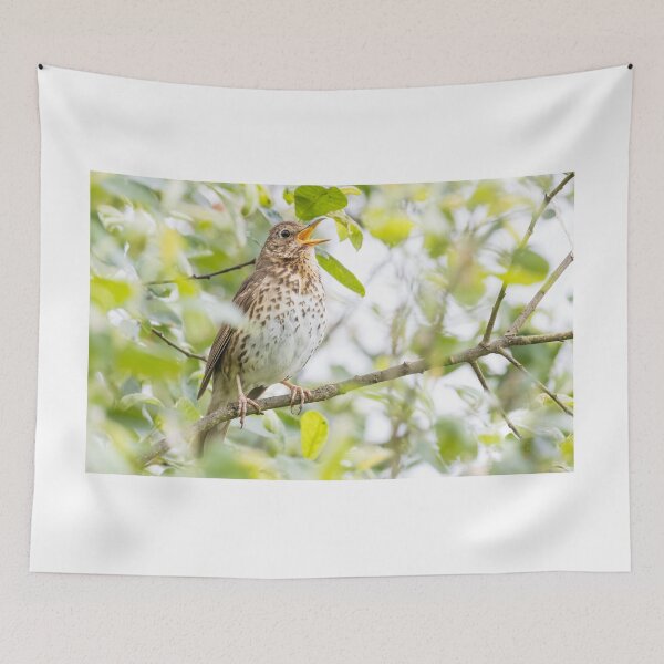 Item preview, Song Thrush designed and sold by LaurenTucker.